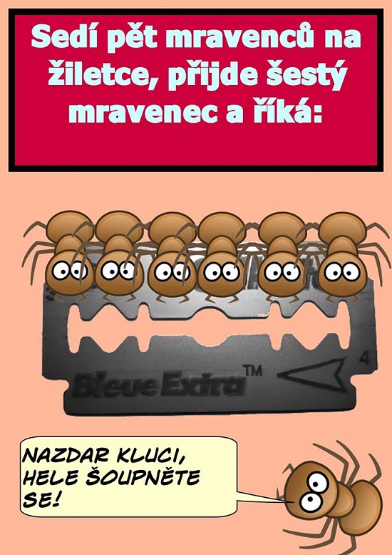 6 mravcov a žiletka