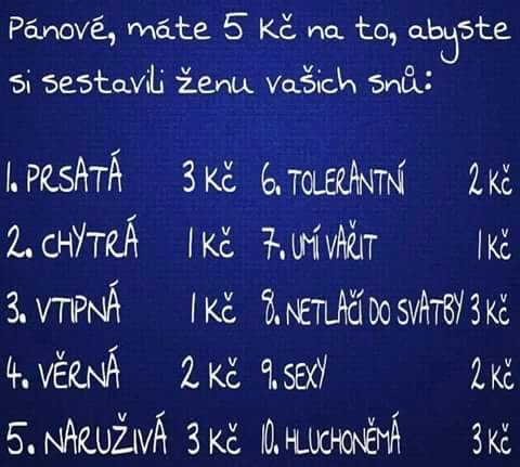 Ako by ste investovali 5 korún do ideálnej ženy?