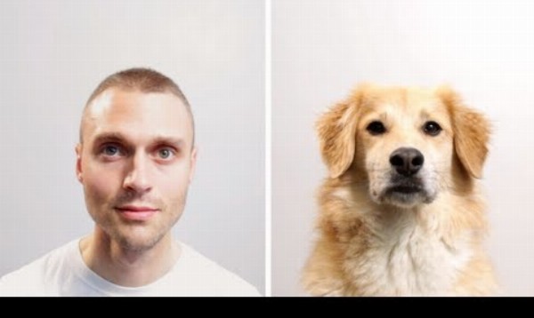 Ako by vyzeral váš život, keby ste boli pes