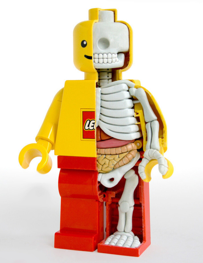 Anatómia Lego panáčika