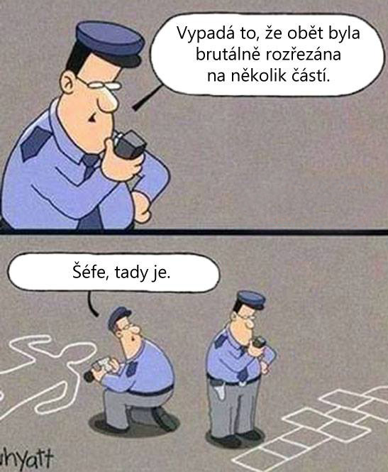 Brutálne rozrezaná obeť