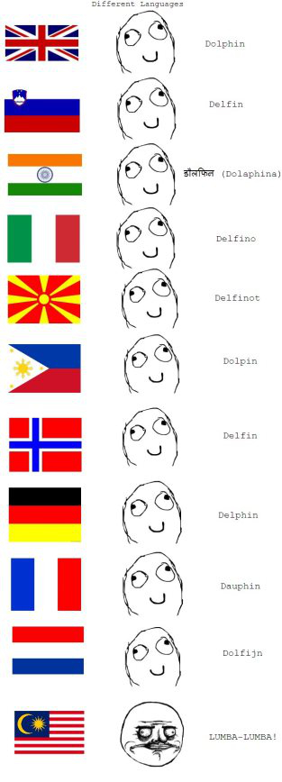 Delfín v rôznych jazykov