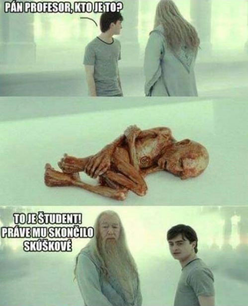 Dumbledore, Potter a študent po skúškovom