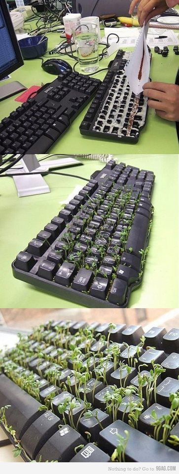 Ekologická klávesnica