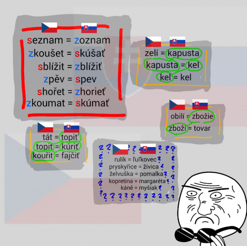 Čeština VS slovenčina