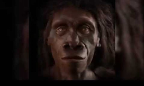 Evolúcia ľudskej tváre za posledných 6 miliónov rokov