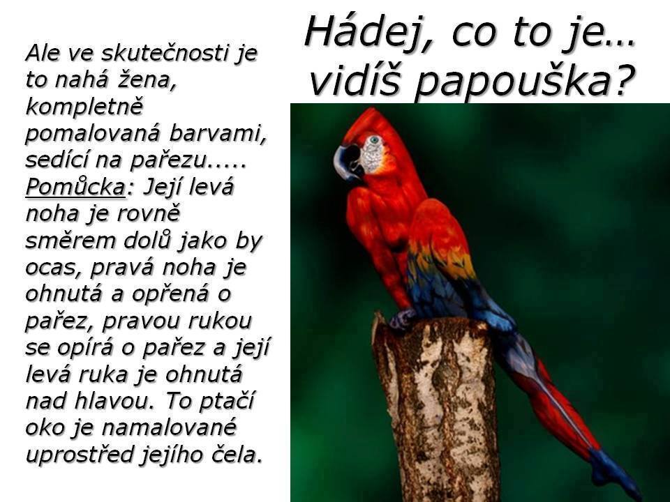 Hádajte, čo vidíte na obrázku?