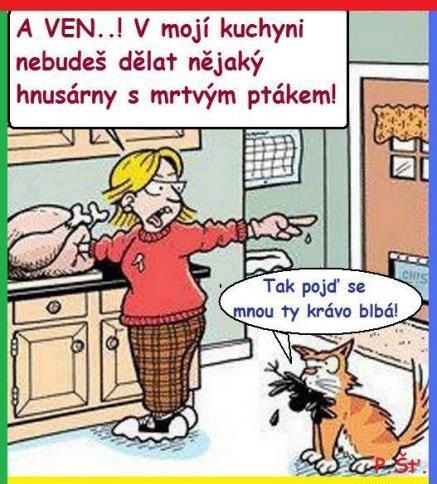 Hnusné veci s mŕtvym vtákom