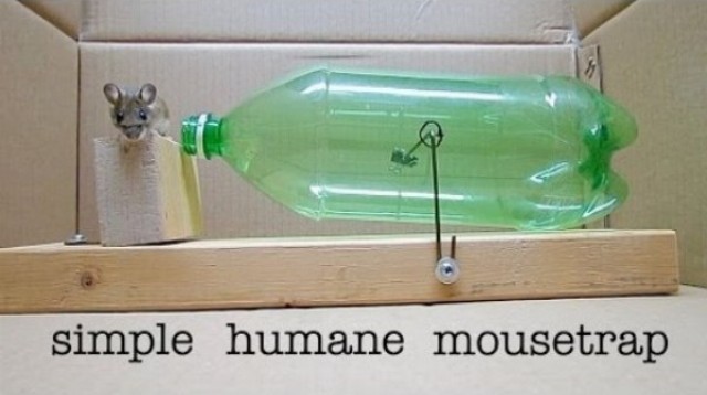 Humánna a pritom účinná pasca na myši z plastovej fľaše