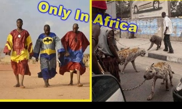 Šialené veci, ktoré môžete vidieť iba v Afrike