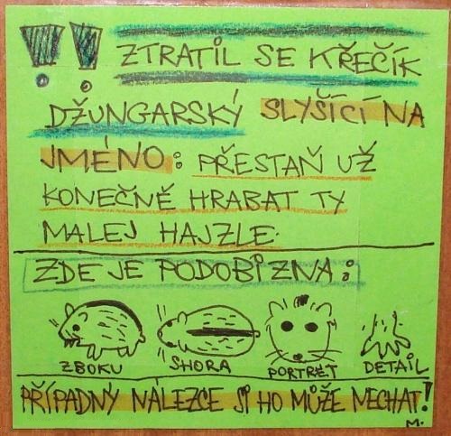 Inzerát k stratenému škrečkovi
