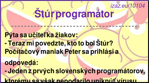 Štúr programátor