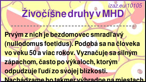 Živočíšne druhy v MHD