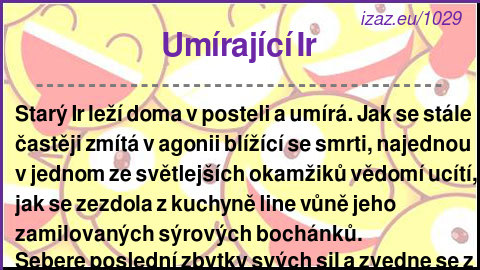 
Umírající Ir
