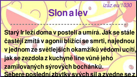 
Slon a lev
