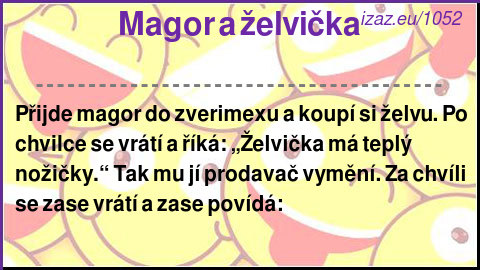 Magor a želvička
