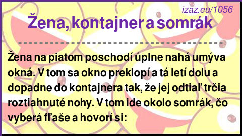 
Žena, kontajner a somrák
