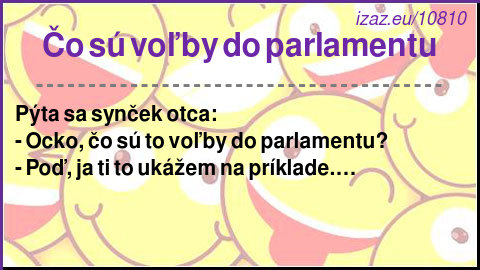 Čo sú voľby do parlamentu