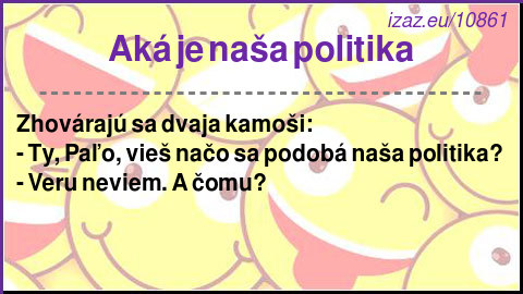 Aká je naša politika