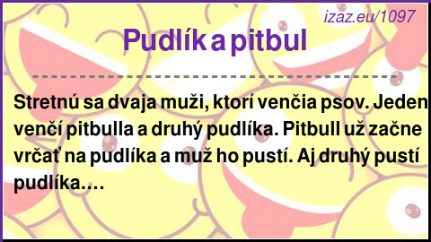 
Pudlík a pitbul
