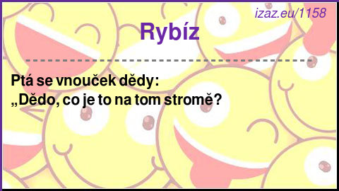 
Rybíz
