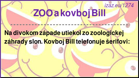 
ZOO a kovboj Bill
