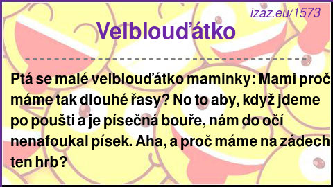 
Velblouďátko
