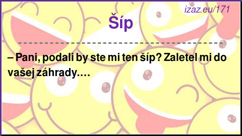 Šíp