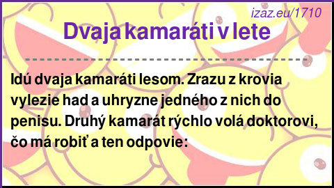 
Dvaja kamaráti v lete

