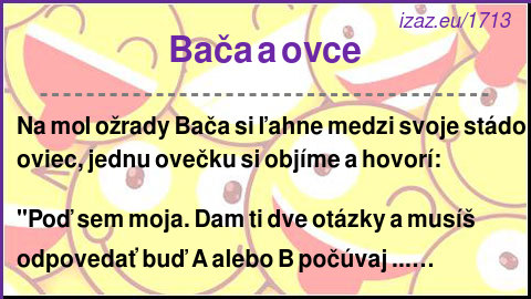 
Bača a ovce
