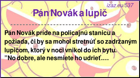 Pán Novák a lupič