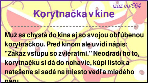 Korytnačka v kine