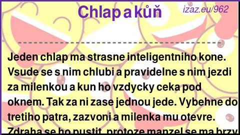 Chlap a kůň
