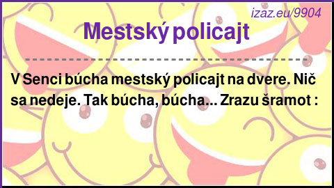 Mestský policajt