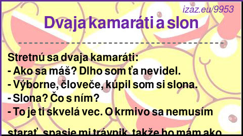 Dvaja kamaráti a slon