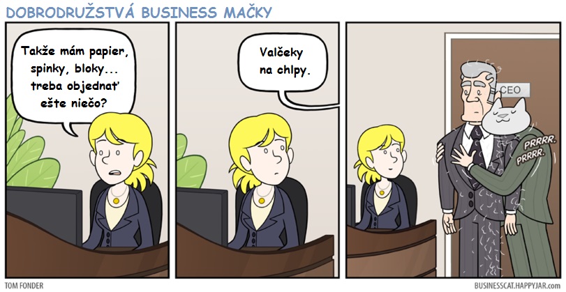 Kancelárske potreby kvôli mačke