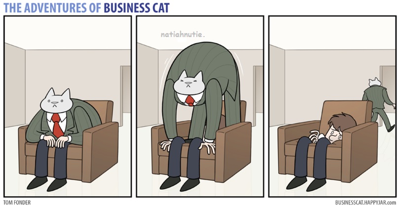 Klam business mačky