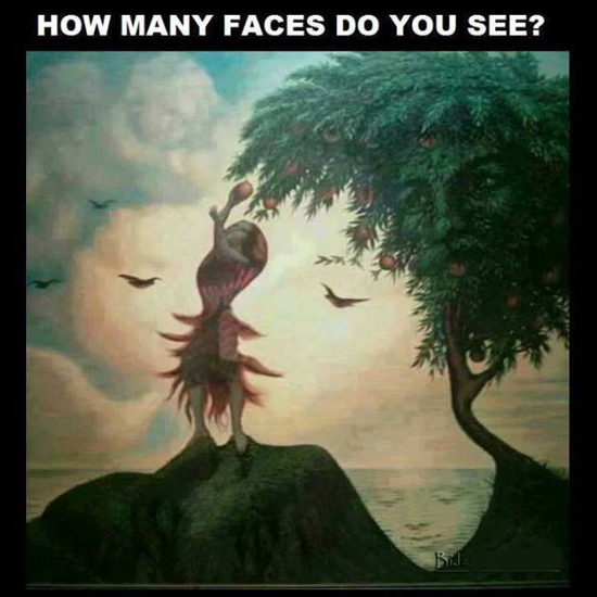 Koľko tvárí vidíte?