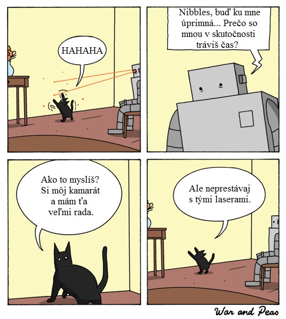 Mačka a robot