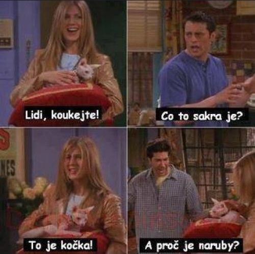 Mačka naruby