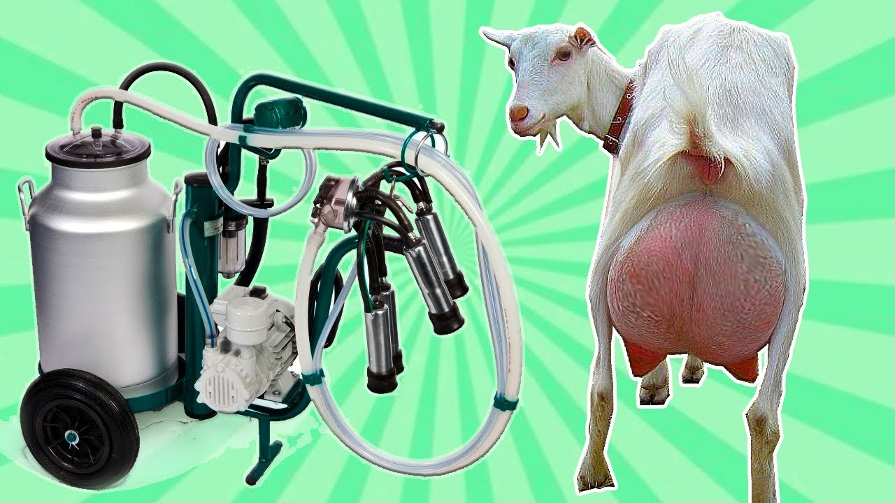 Доильный аппарат Koza. Доильный аппарат молочный фермер. Доильный аппарат молочная ферма. Доильный аппарат молочная ферма 1т.