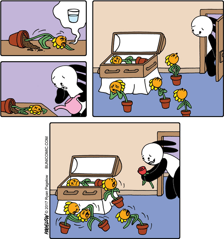 Na pohrebe kvetiny