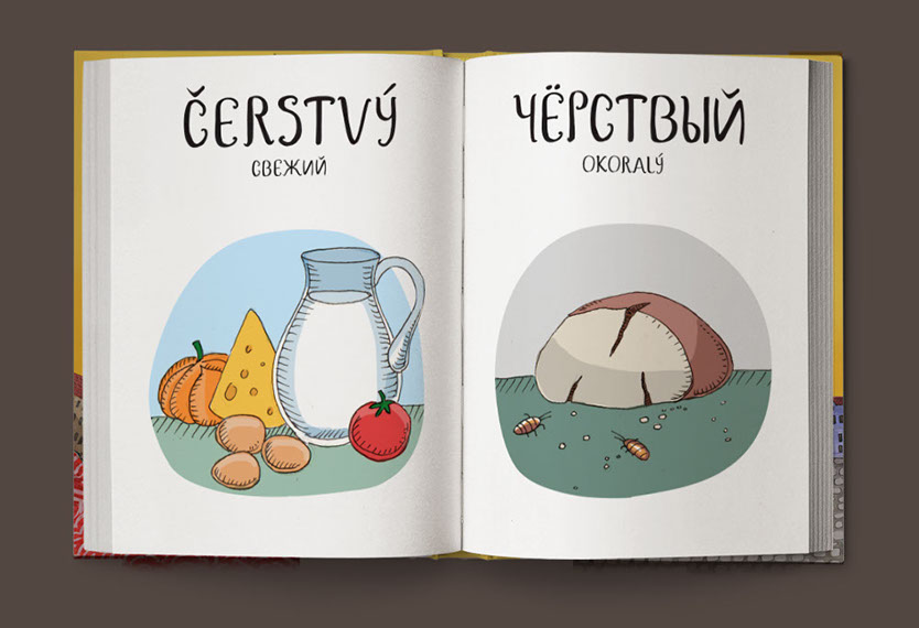 Čo znamenajú rôzne české slová v ruštine