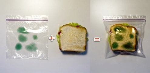 Ochrana pred zlodejmi desiaty