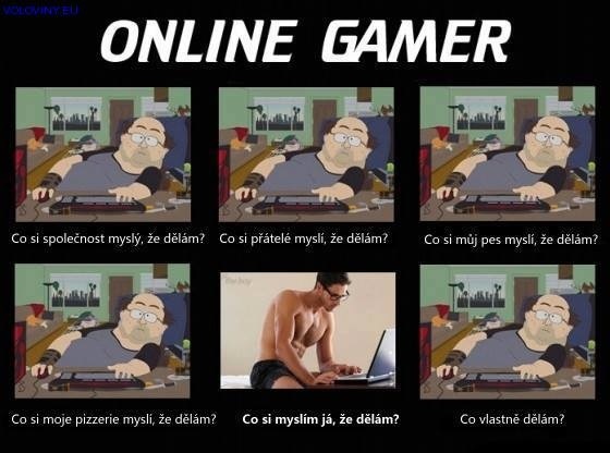 Online gamer