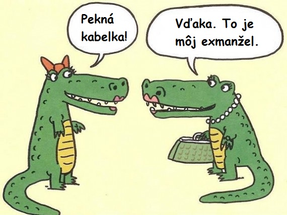 Pekná kabelka