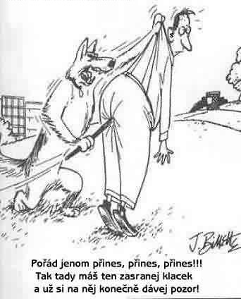 Psia pomsta