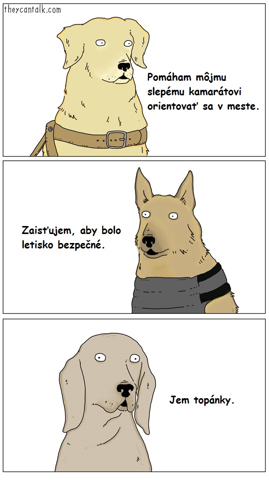 Rôzne činnosti psov