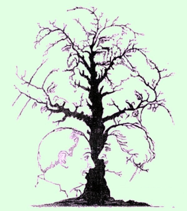 Schovaní v strome: Obrázková hádanka