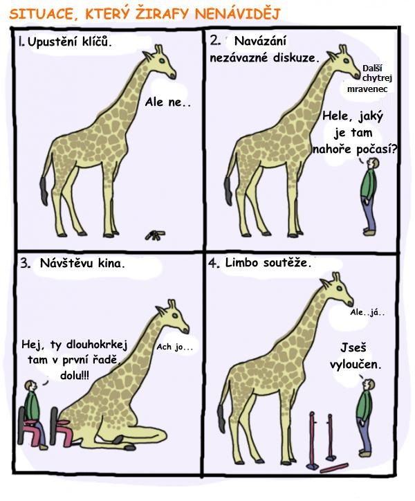 Situácie, ktoré žirafy nenávidia